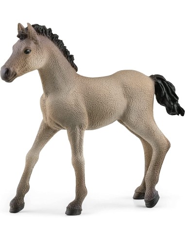 Schleich - Criollo Foal