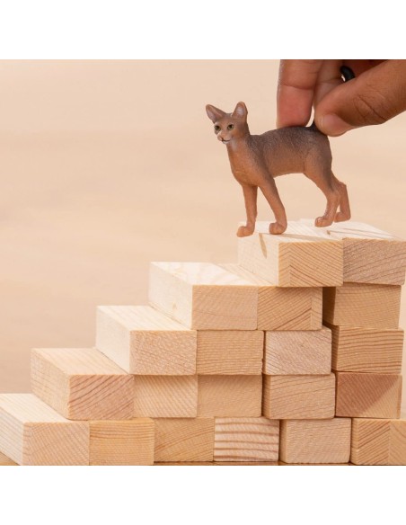 Schleich - Gatto Abissino