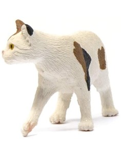 Schleich - Gatto Americano a pelo Corto 2