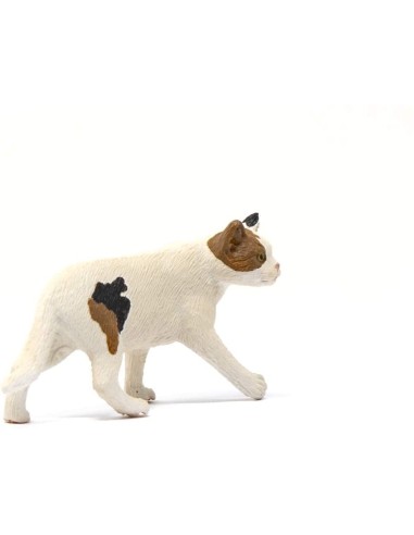 Schleich - Gatto Americano a pelo Corto