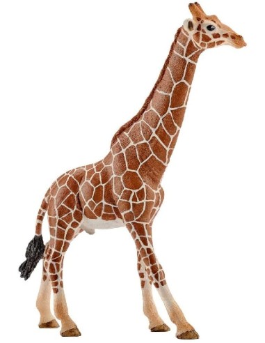 Schleich - Giraffa Maschio