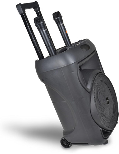 Bontempi - Cassa Wireless Trolley con 2...