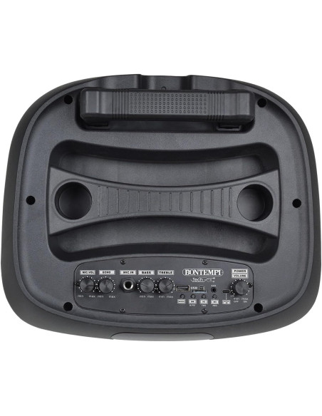 Bontempi - Cassa Wireless Trolley con 2 microfoni e Luci 