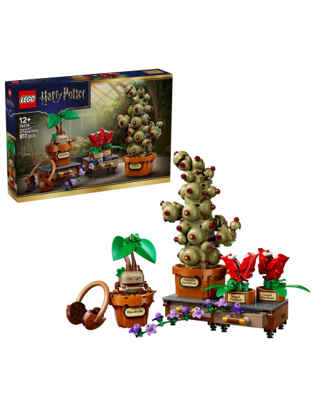 Lego Harry Potter - Piante di erbologia di Hogwarts