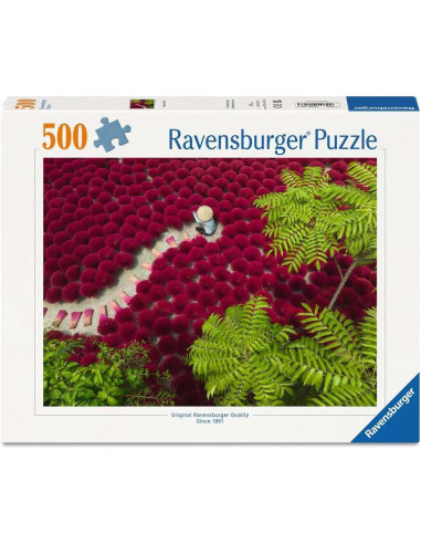Puzzle 500 pz - Un mare di rosso