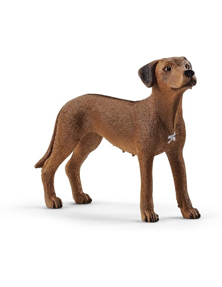 Schleich - Rhodesian Ridgeback