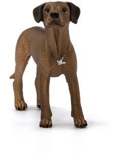 Schleich - Rhodesian Ridgeback 2