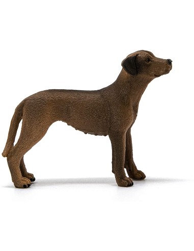 Schleich - Rhodesian Ridgeback