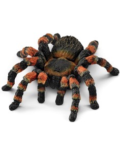 Schleich - Tarantola