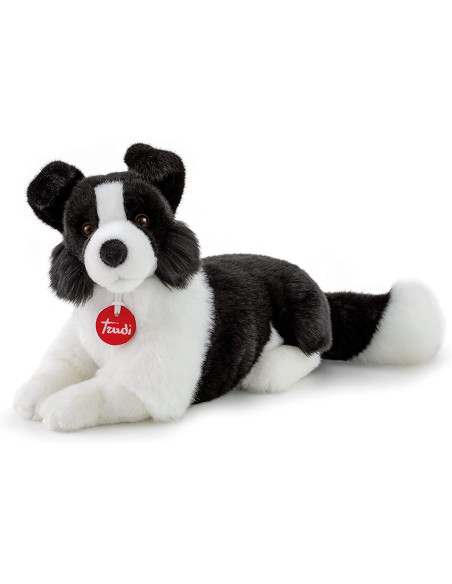 Trudi - Border Collie Scott M