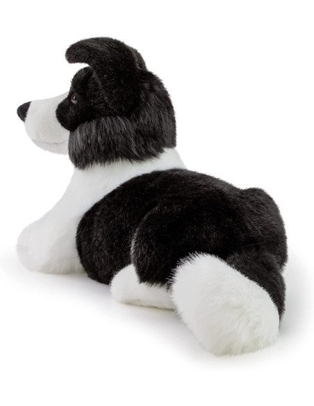 Trudi - Border Collie Scott M