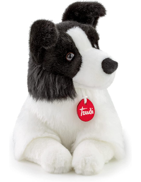 Trudi - Border Collie Scott M