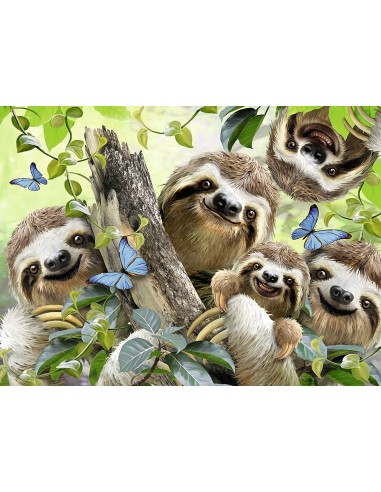 SELFIE TRA BRADIPI 500 PZ