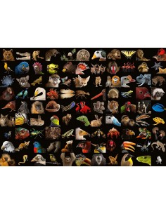 99 spendidi animali 2