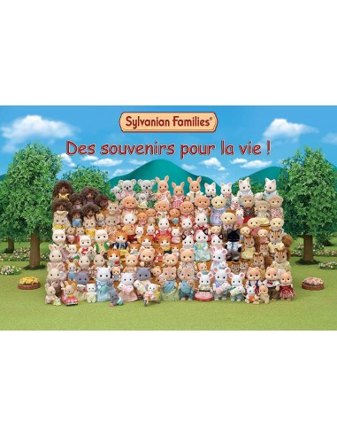 Sylvanian Families - Papà Coniglio Cioccolato E...