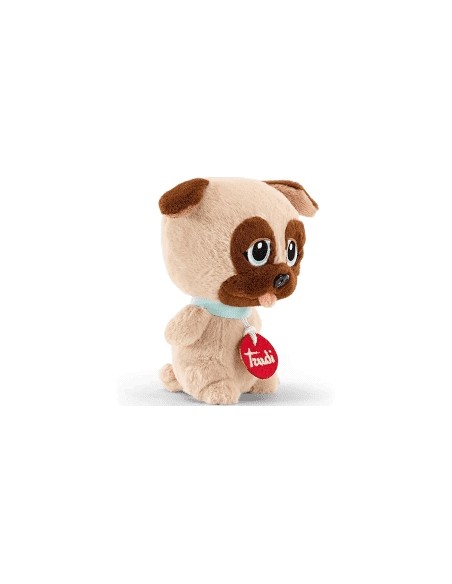 Trudi Friend Carlino