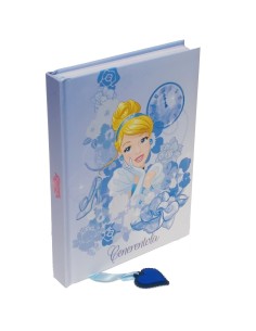 DIARIO 12 MESI CENERENTOLA