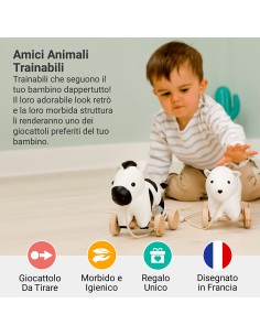 Animali Trainabili - Robert La Zebra 2