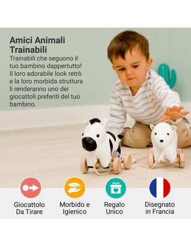 Animali Trainabili - Robert La Zebra