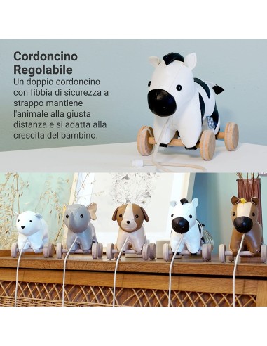 Animali Trainabili - Robert La Zebra