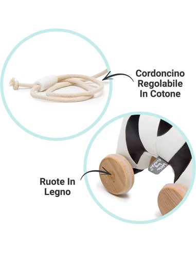 Animali Trainabili - Robert La Zebra