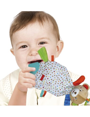 Orsetto Copertina Small