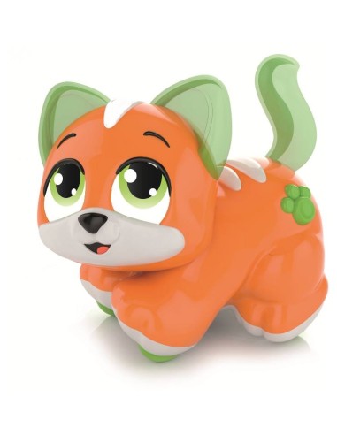 Cercacoccole Gattino