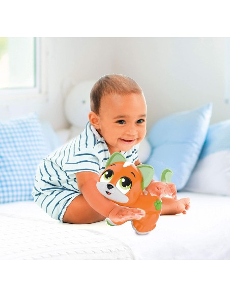 Cercacoccole Gattino