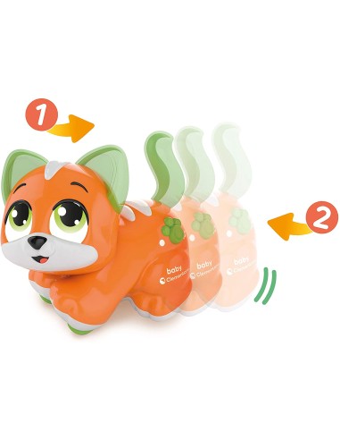 Cercacoccole Gattino