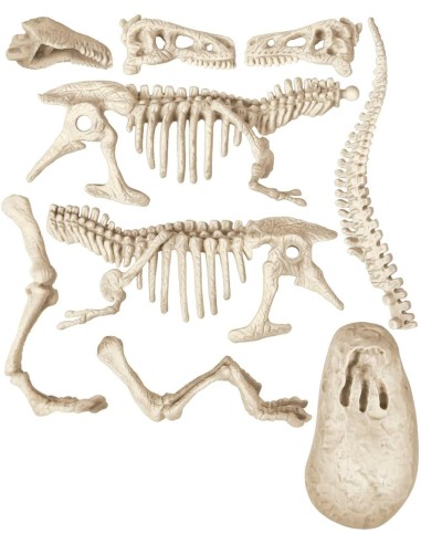 Archeologicando - T-rex e Triceratopo