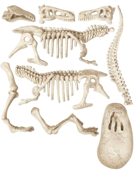 Archeologicando - T-rex e Triceratopo