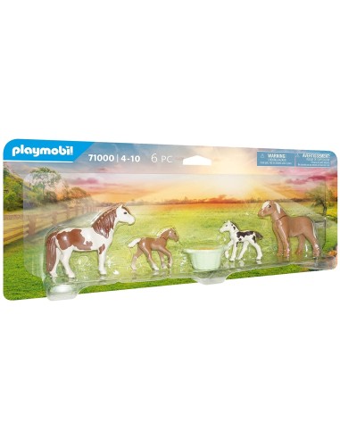 Blister Cavalli e Pony