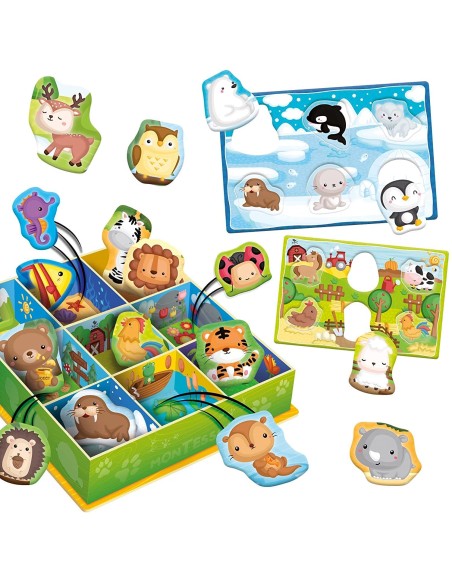 Montessori baby bacheca animali e ambienti