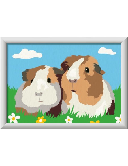 CreArt Serie E Classic Porcellini d'India