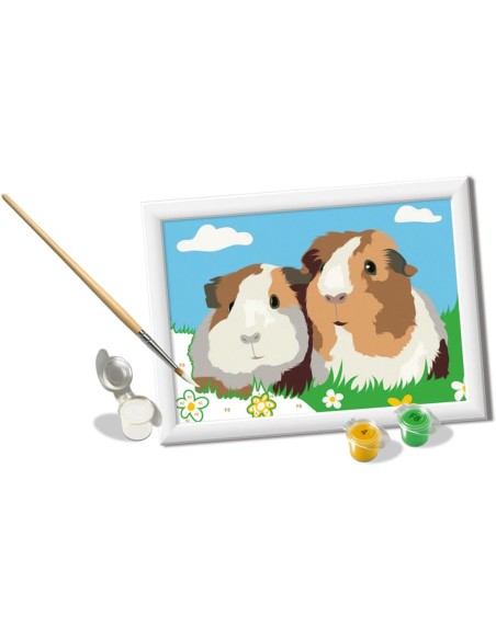 CreArt Serie E Classic Porcellini d'India