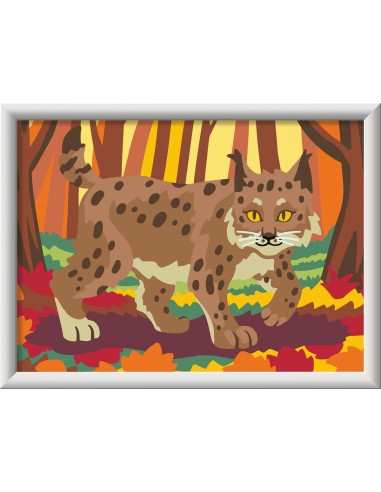 CreArt Serie D Classic Lince nel bosco