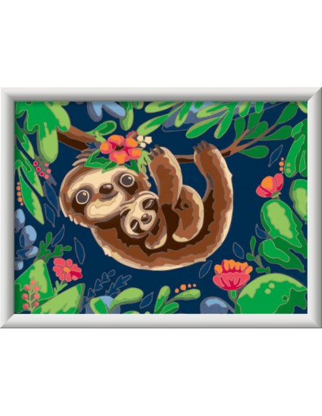 CreArt Serie D Classic Vita da bradipo