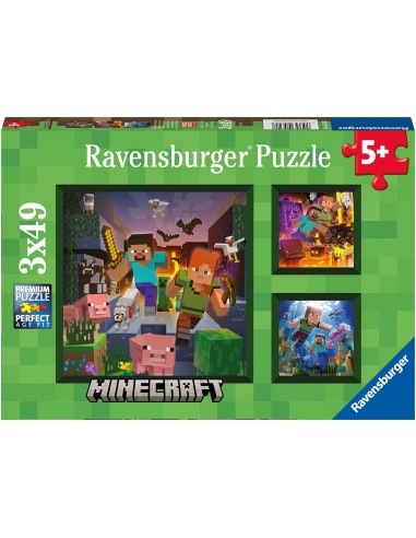 Puzzle Minecraft Biomes 3x49