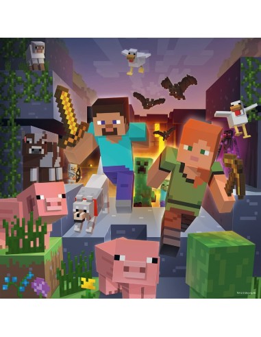 Puzzle Minecraft Biomes 3x49