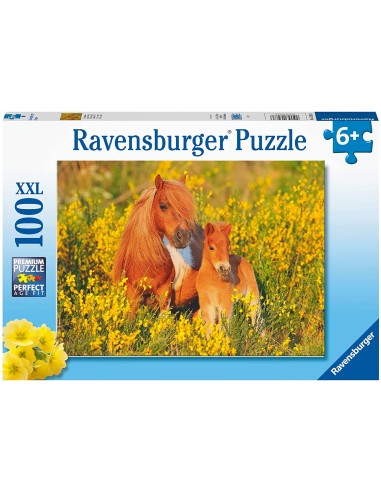 Puzzle 100pz XXL - Pony Shetland