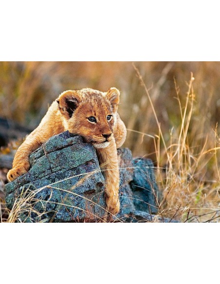 Puzzle 200pz XXL - Piccolo leone