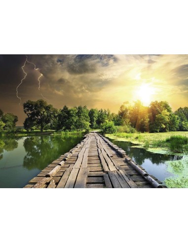 LUCE MISTICA 1000 PZ