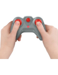 Terra - Squalo Grigio RC 2