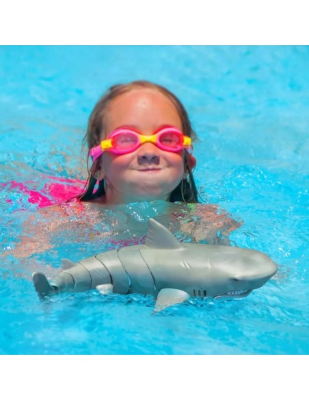 Terra - Squalo Grigio RC