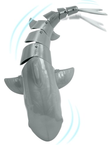 Terra - Squalo Grigio RC