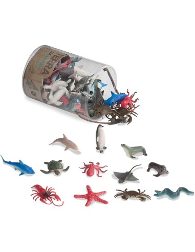 Terra - Animali Marini assortiti