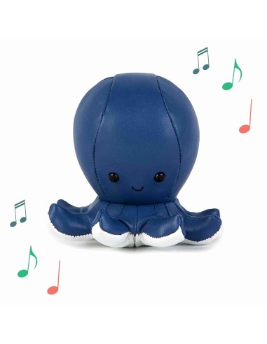 Gli Animali Musicali - Ottava la Piovra