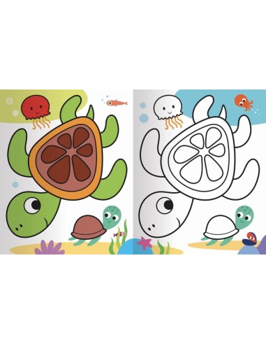 Colorare animali del mondo