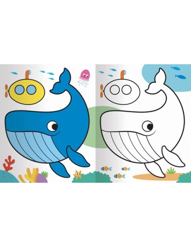 Colorare animali del mondo