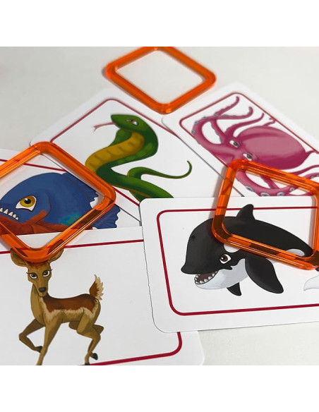 Asmodee - Concept Kids Animali